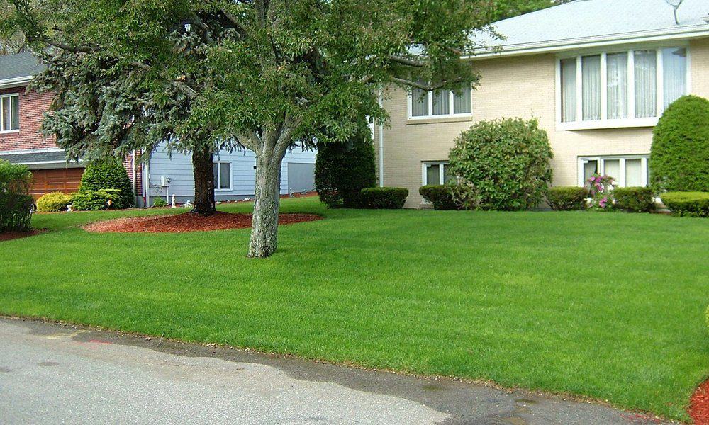 Residential Landscaping Companies