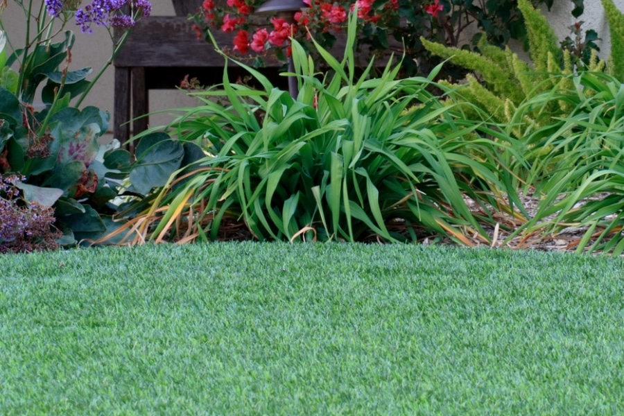 Artificial Lawns vs. Natural Lawns: Which Is Right for You