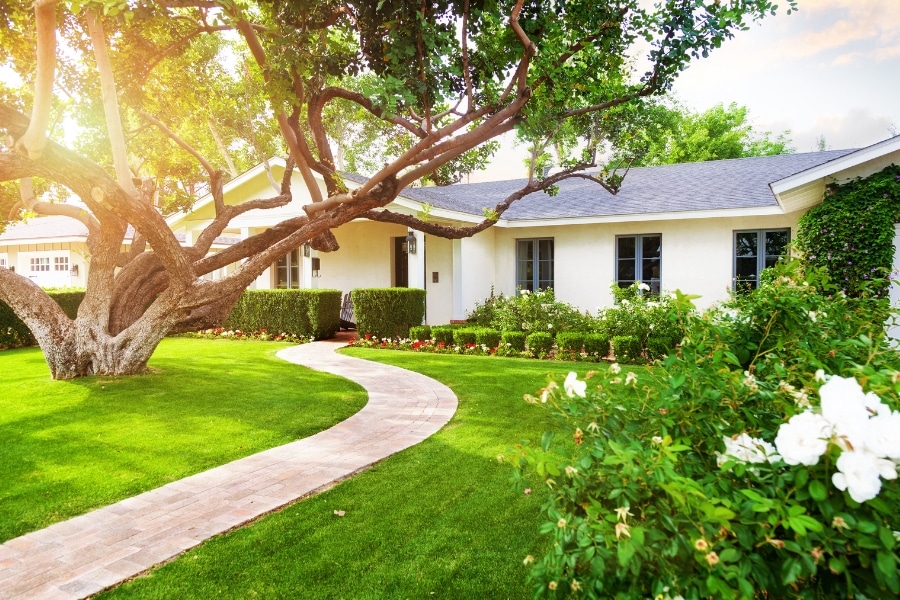 The Importance of Landscape Maintenance for a Beautiful Yard