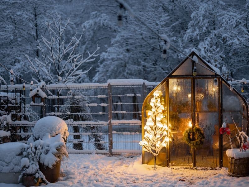 Winter Landscaping – Tips for Protecting Your Plants and Property
