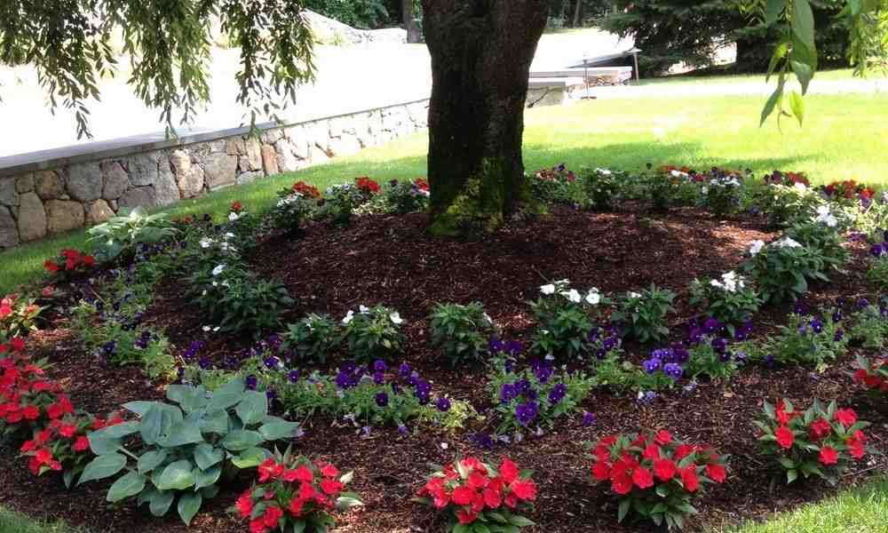 Your Guide to Stoneham’s Finest Landscaping Services