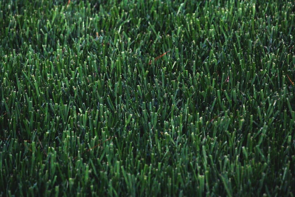 Ultimate Guide to Caring for Your Synthetic Lawn