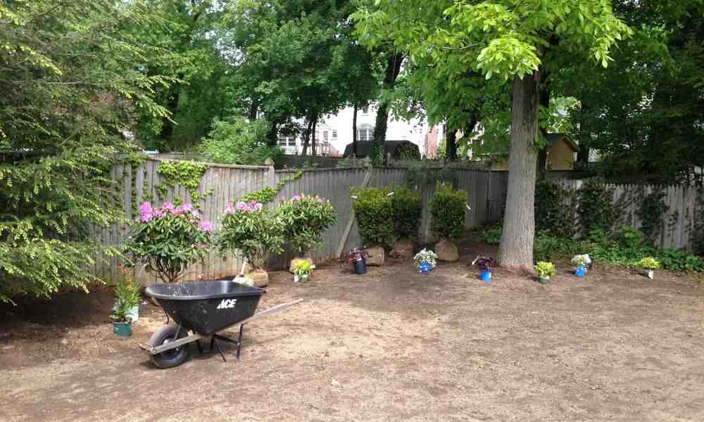 Revitalize Your Outdoor Space: Tips for Spring Landscaping Clean-Up