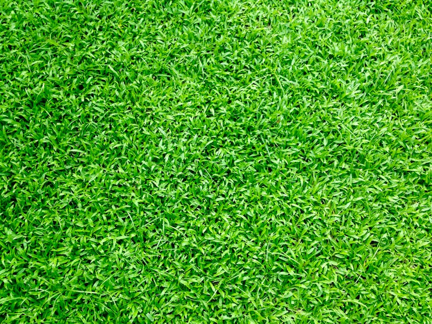 Artificial Grass Cost: What You Need to Know Before You Buy