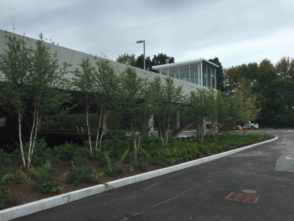 Transform Your Business Space with Top Commercial Landscape Services