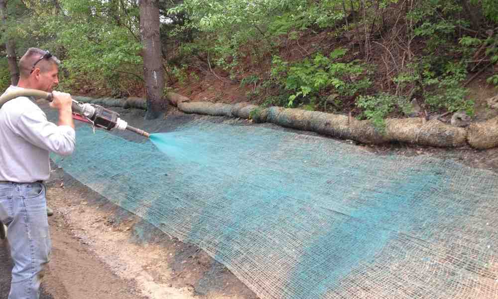 Hydroseeding Growth: How Long Until You See Results?