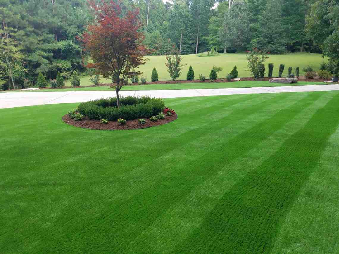 Your Guide to Essential Lawn Maintenance Services