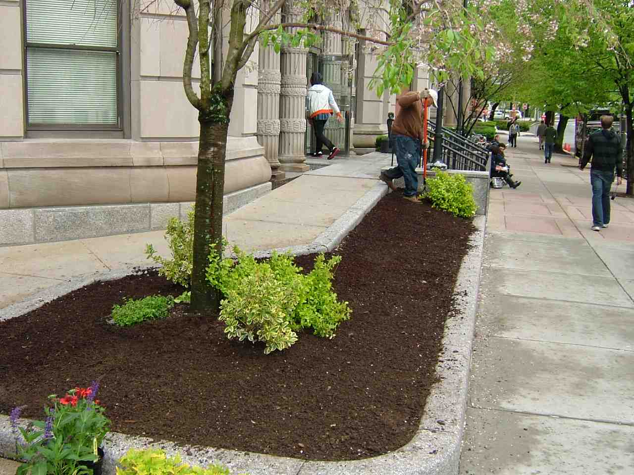 The Essential Guide to Commercial Landscape Maintenance: Keep Your Property Pristine