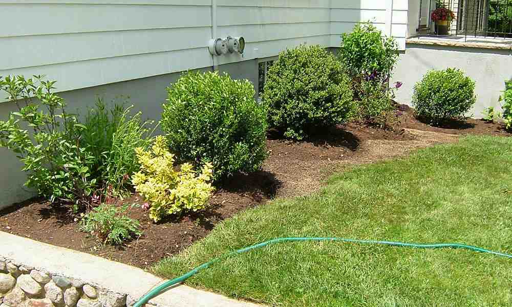 What Does Landscape Maintenance Include? Your Essential Guide