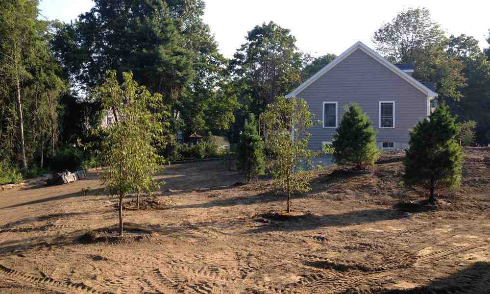 Transform Your Outdoor Space: A Comprehensive Guide to Landscaping in Sudbury, MA