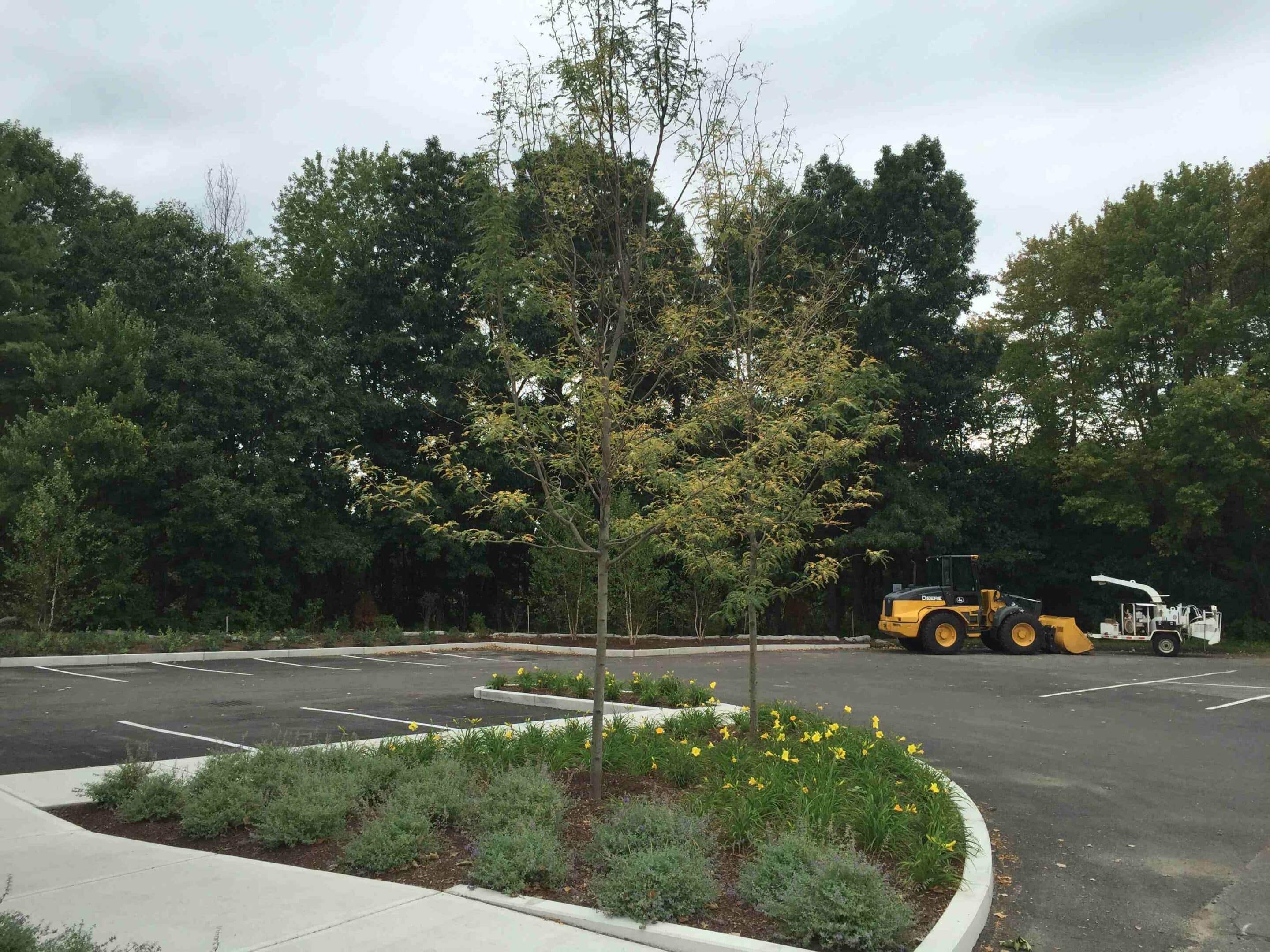 The Ultimate Guide to Commercial Landscaping: Everything You Need to Know