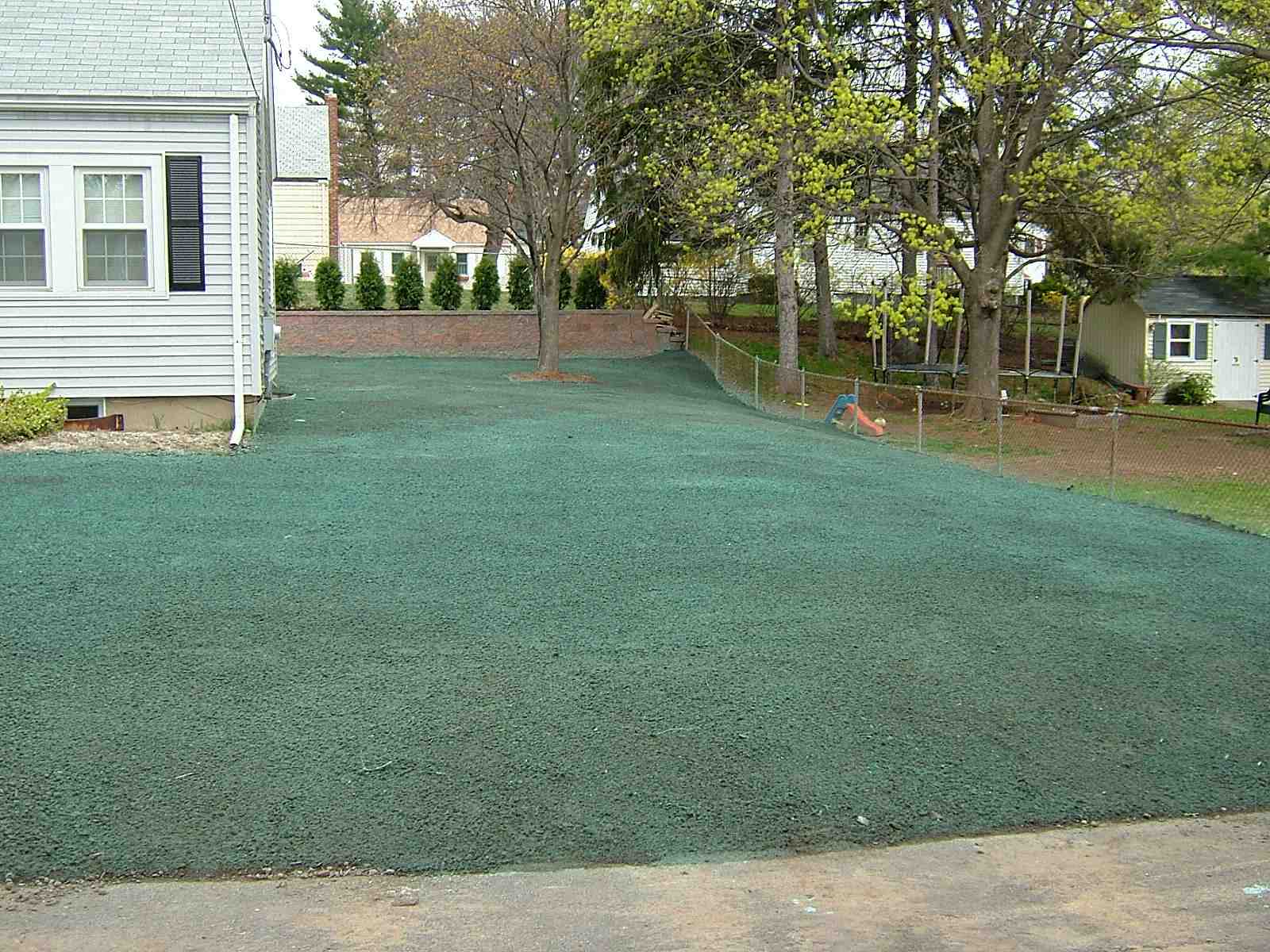 Finding the Best Hydroseeding Company Near You