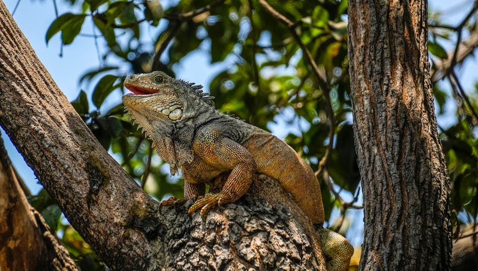 Understanding the Impact of Invasive Species on Local Ecosystems