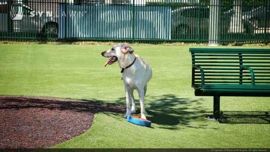 Why Pet-Friendly Artificial Turf is a Game-Changer for Your Lawn