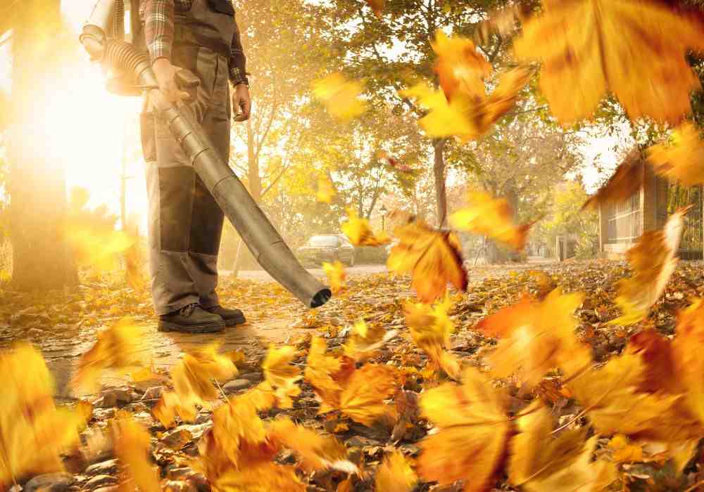 A Comprehensive Guide to Fall Cleanup Services in Lexington, MA