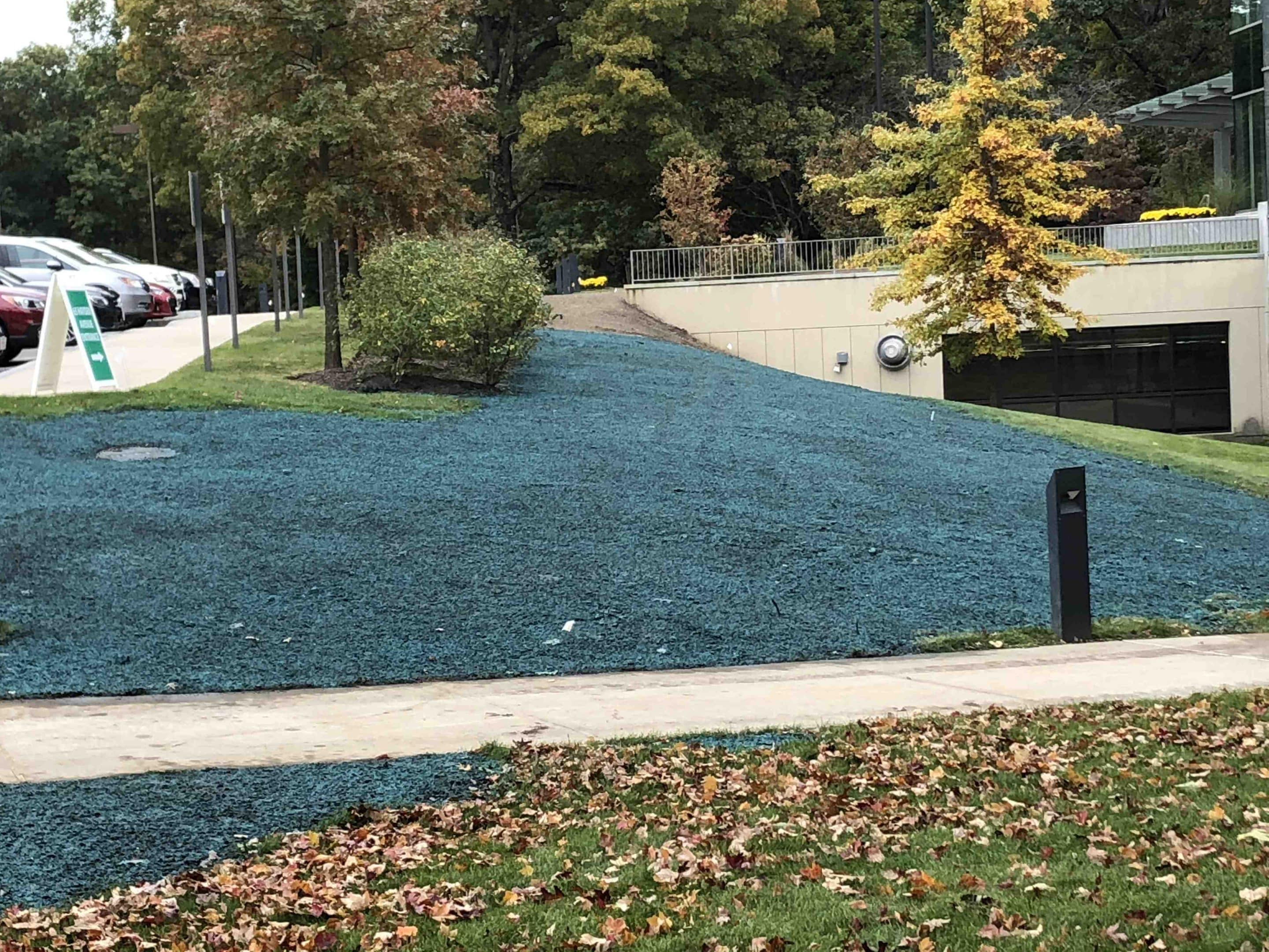 Residential Hydroseeding: Everything You Need to Know