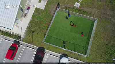 Astro Turf vs. Natural Grass: Which is Best for Your Pet?