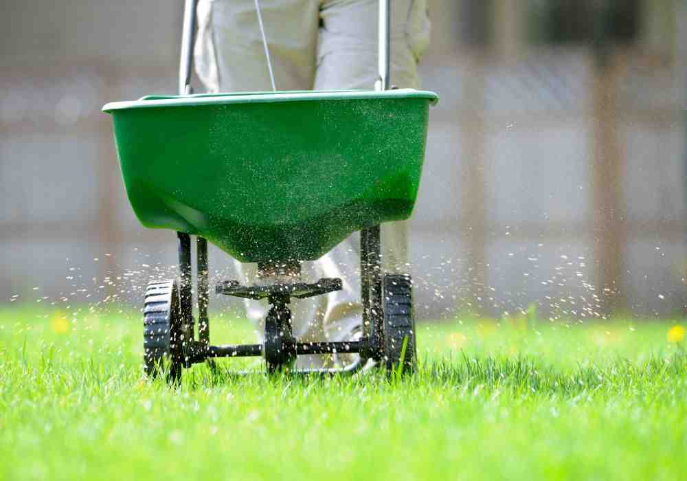 Hydroseed Growth: How Long Until Your Lawn is Lush?