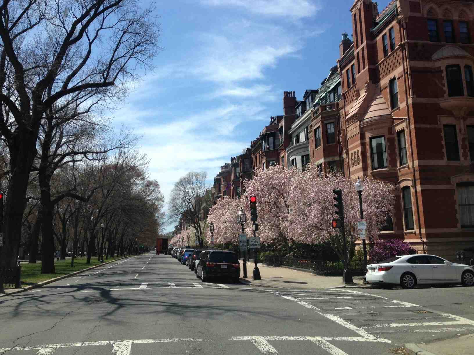 Boston’s Snow Removal Guide: What Every Resident Needs to Know Boston’s Snow Removal Guide: What Every Resident Needs to Know