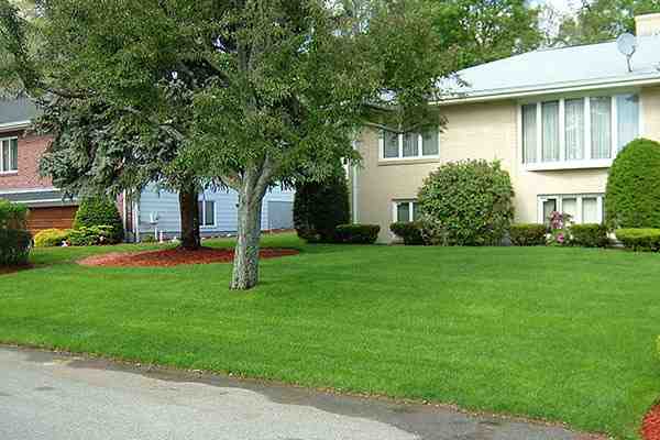 Comparing Full-Service Lawn Maintenance Packages