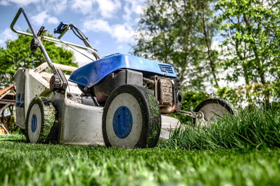 Your Guide to Local Landscape Maintenance: Tips and Tricks