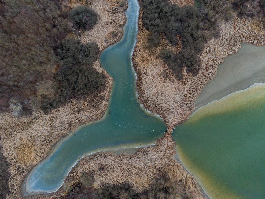 Crafting Wetland Landscapes: A Designer’s Guide