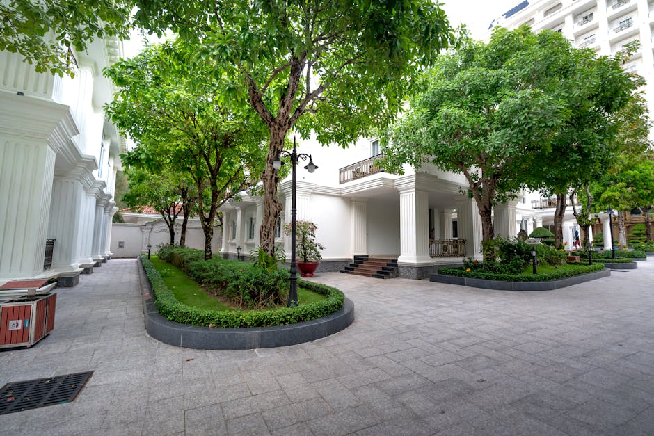 Local Hardscape Contractors: How to Choose the Right One