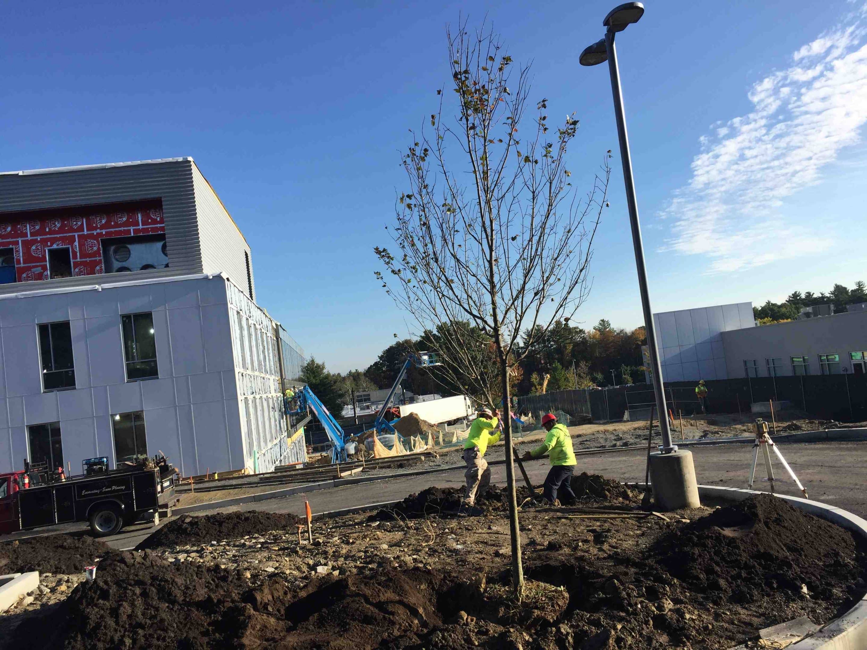 Building Repairs: From Minor Fixes to Major Overhauls