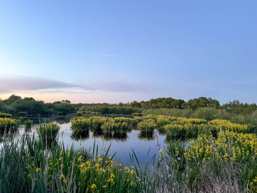 Environmental Mitigation Made Simple (No PhD Required!)