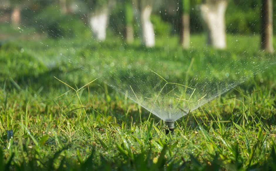 Green Dreams: Choosing the Right Lawn Irrigation System