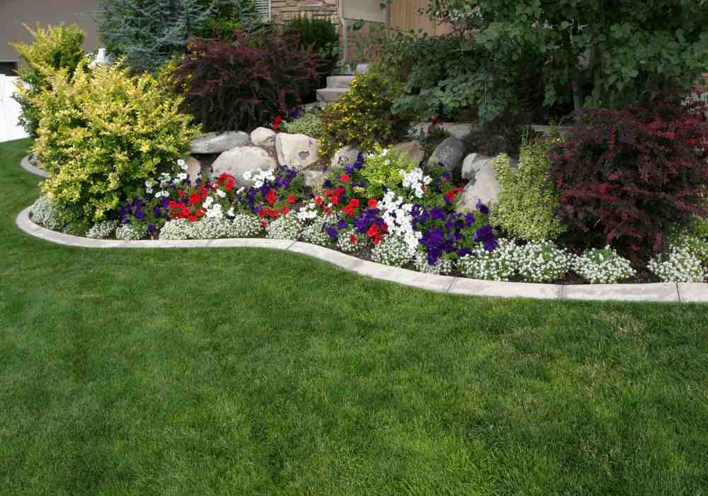 Beyond the Grass: Backyard Path Ideas That Add Value & Style