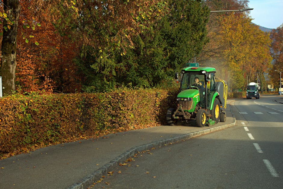 From Leaves to Lawn: Comprehensive Fall Landscaping Services Explained