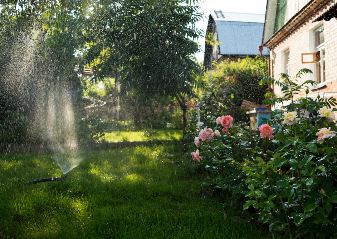 From Underground to Smart: Finding Your Perfect Lawn Sprinkler System