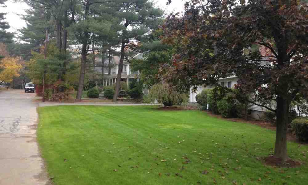 Falling for Cleanliness: Framingham Commercial Fall Cleanup Essentials Falling for Cleanliness: Framingham Commercial Fall Cleanup Essentials