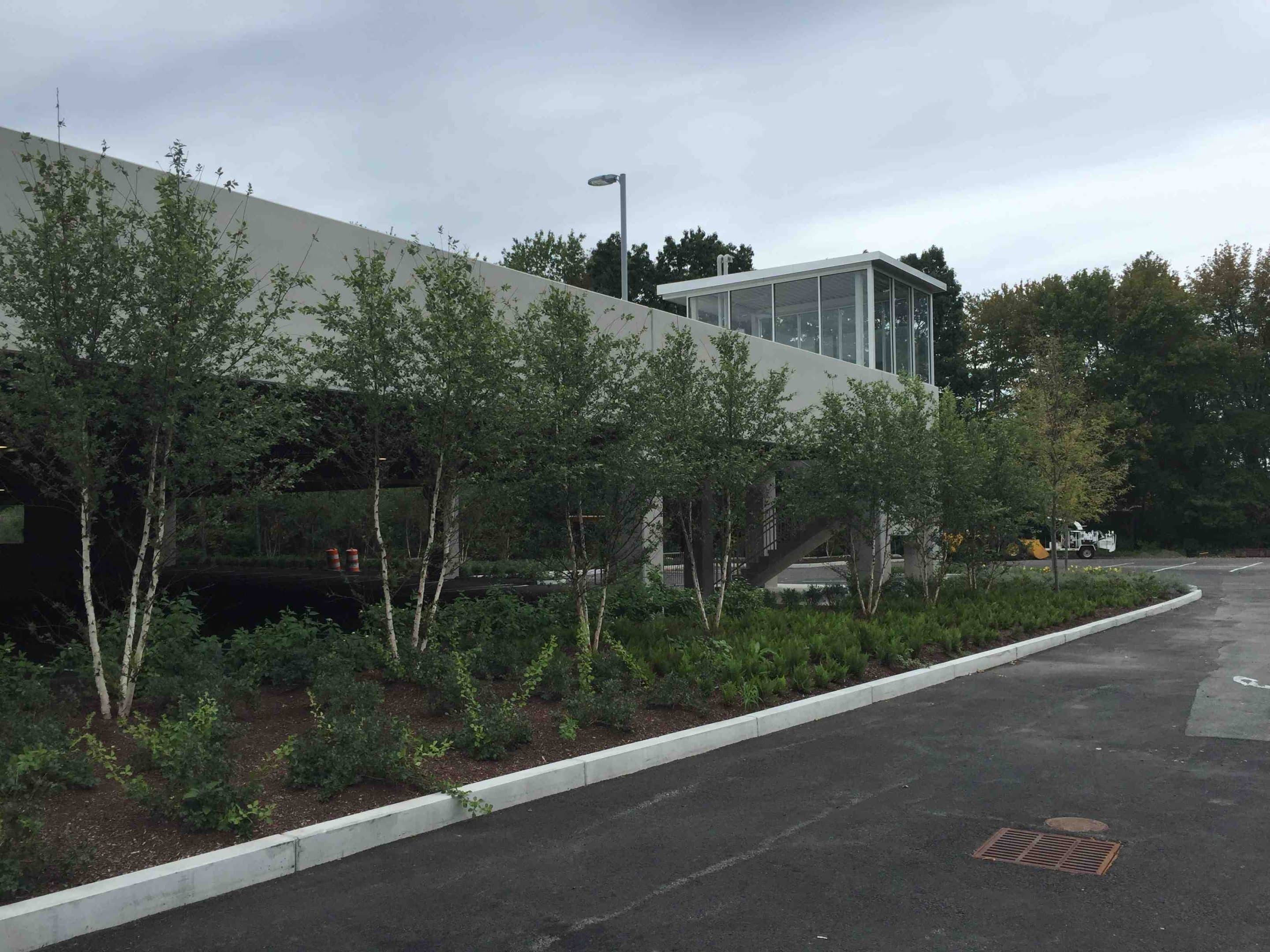 The A-Z of Commercial Facility Services: What You Need to Know