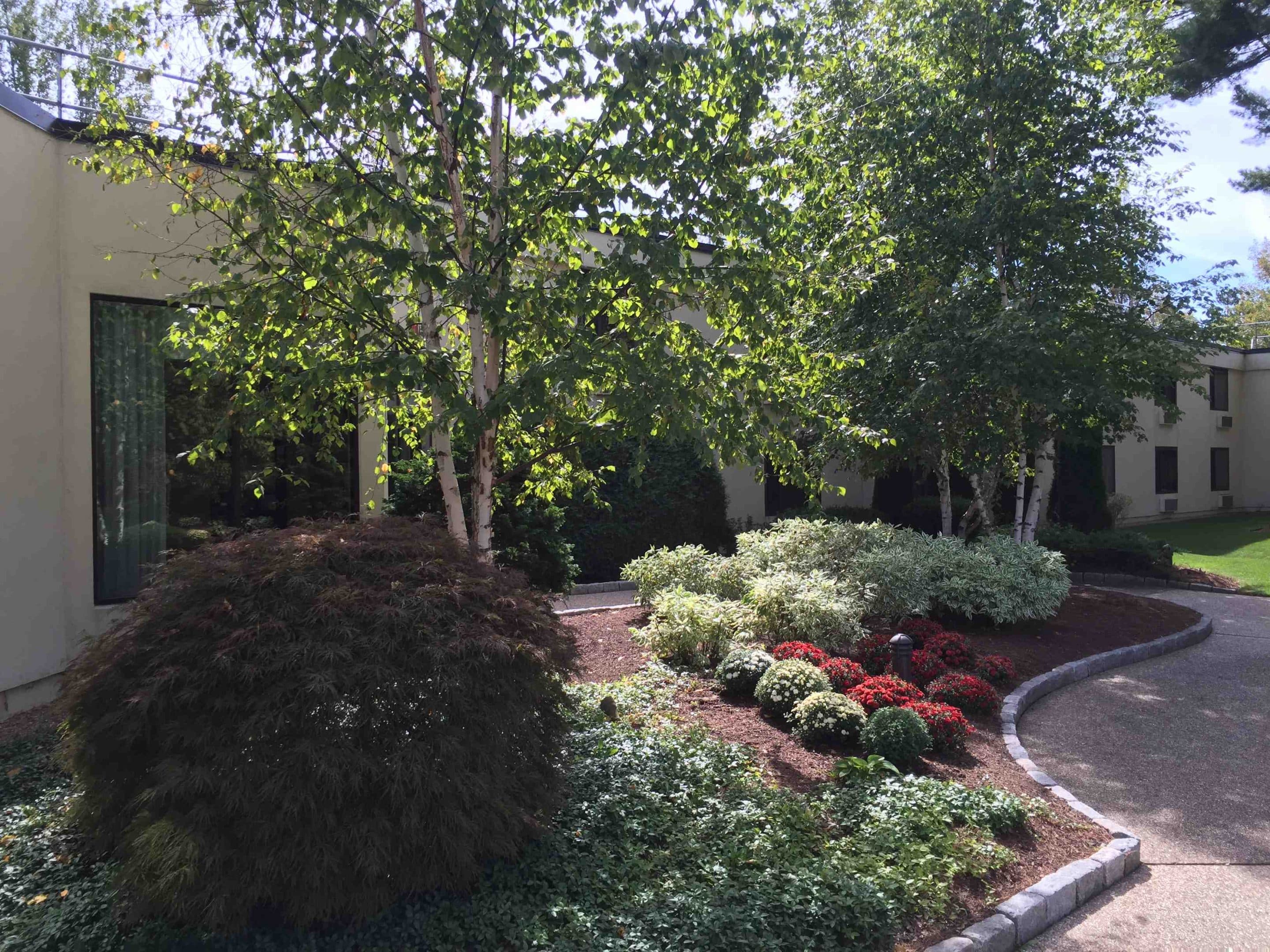 From Design to Maintenance: What Are Commercial Landscaping Services?