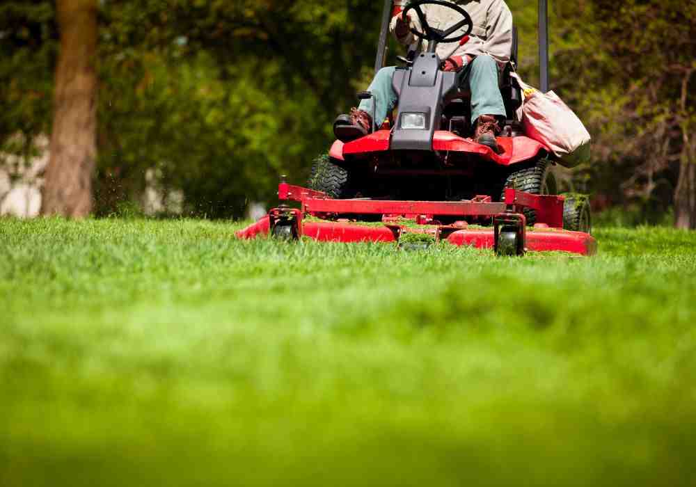 Pro-Worthy Lawns and Expert Care for Your Home Pro-Worthy Lawns and Expert Care for Your Home