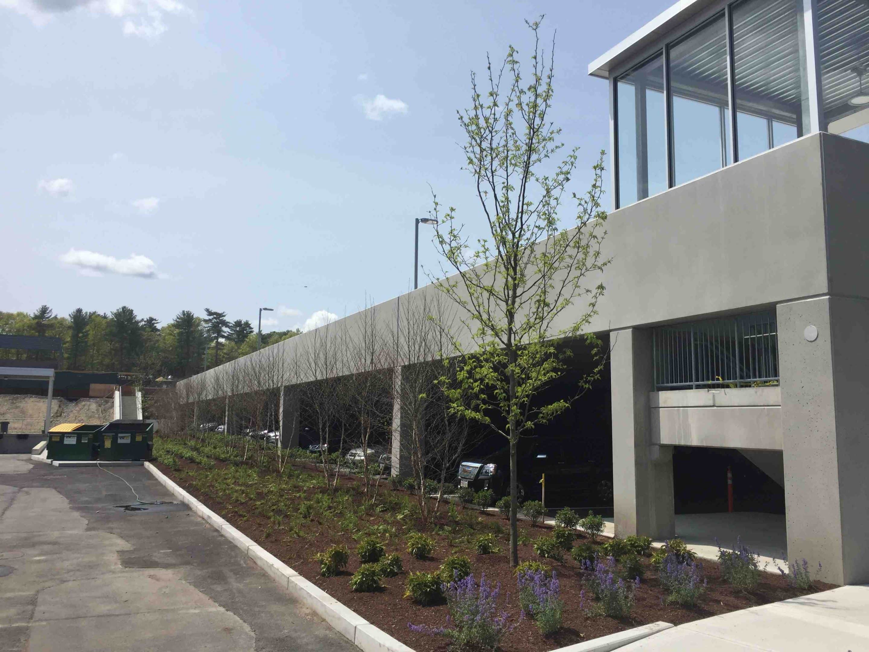 Curb Appeal Kings: Mastering Commercial Landscape Maintenance