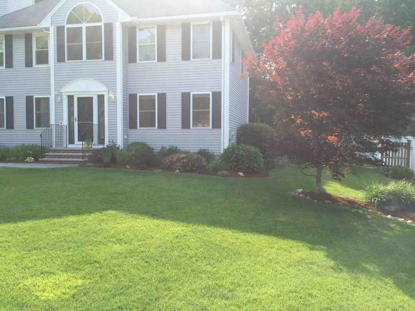 How to Keep Your Stoneham Canopy Thin and Your Trees Grinning