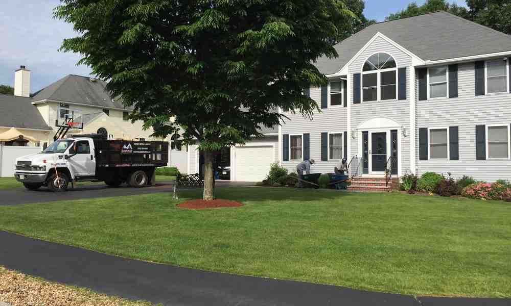 Don’t Beat Around the Bush and Hire These Local Mulching Pros Don’t Beat Around the Bush and Hire These Local Mulching Pros