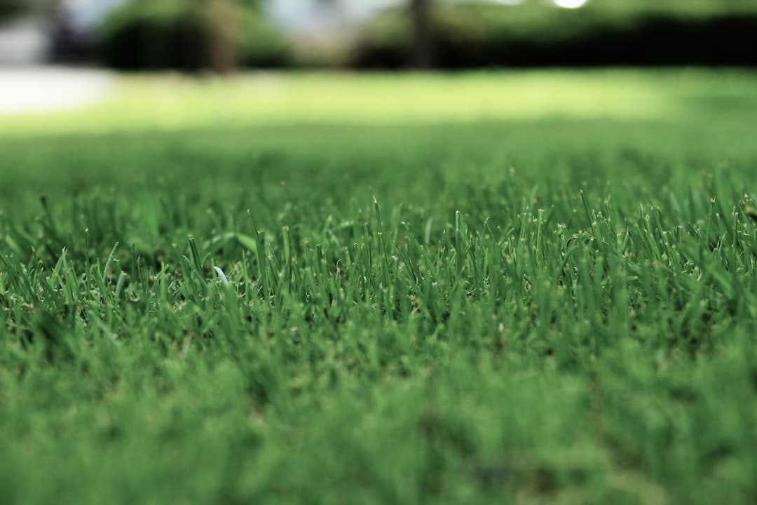 How to Aerate Your Lawn for Drainage and Stop the Backyard Swamp